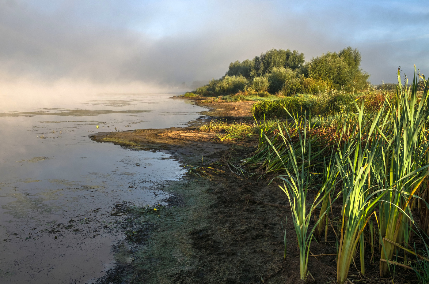 Левый берег Оки.