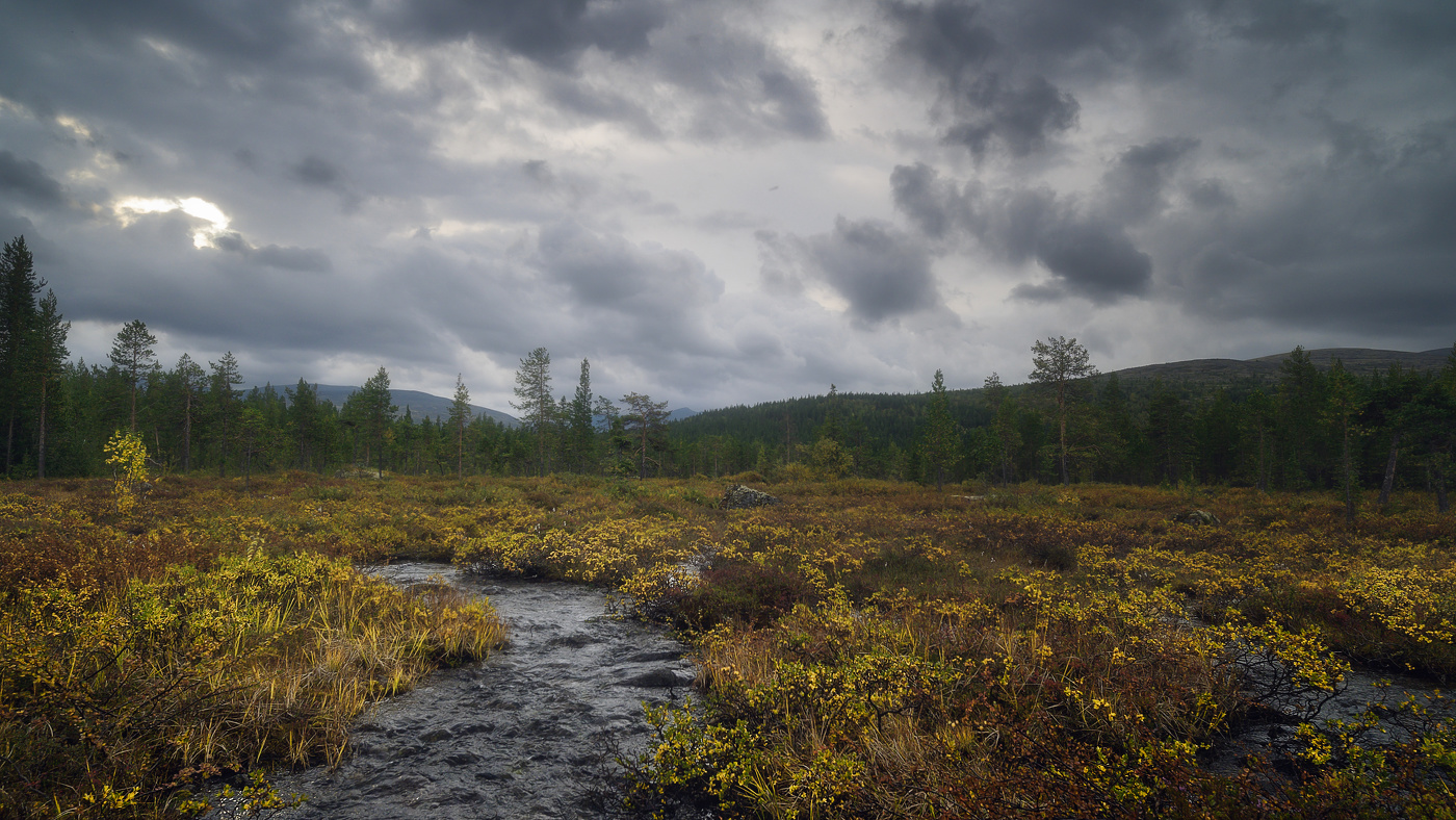 Ручьи и болота