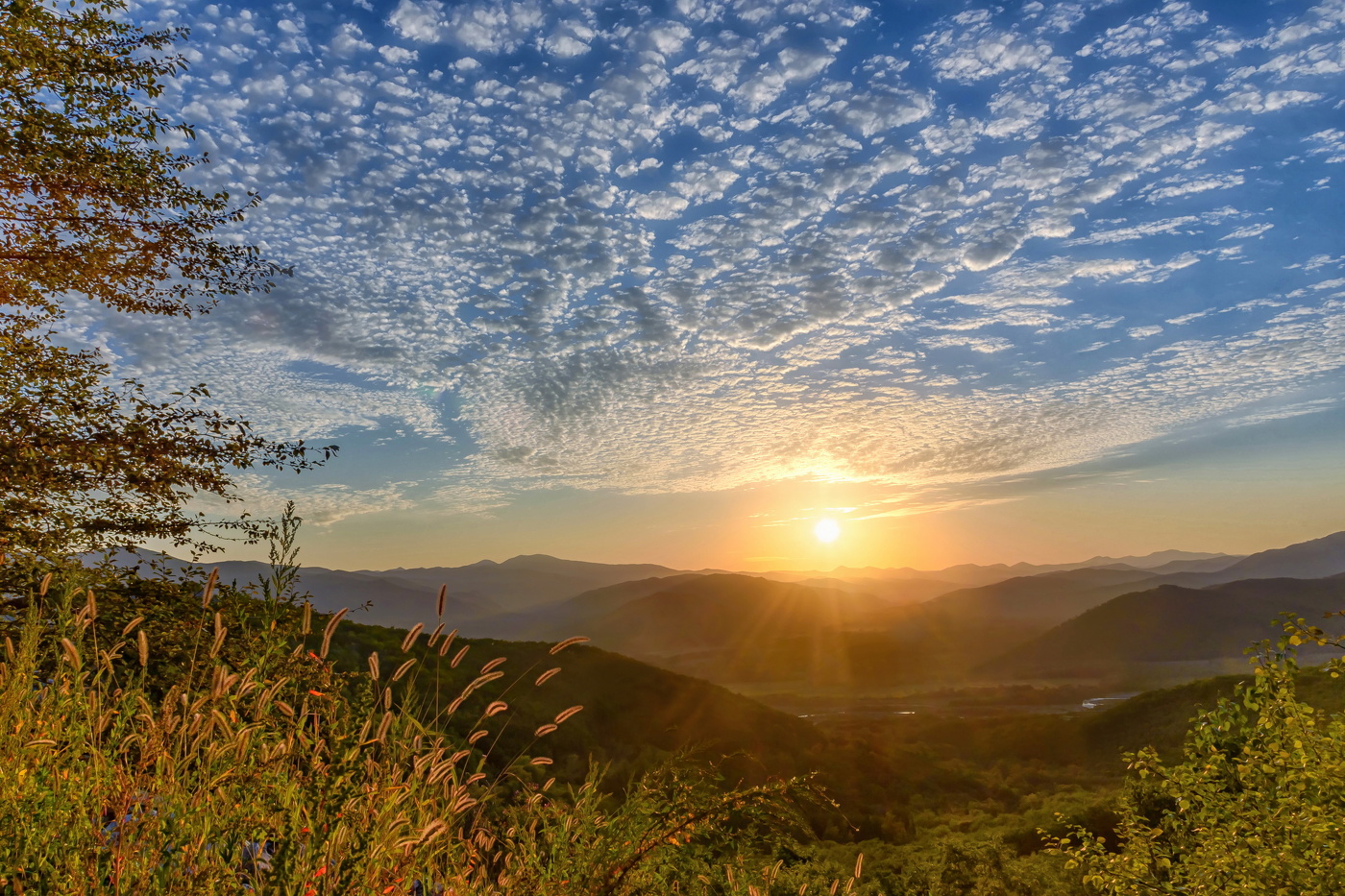 Летний закат