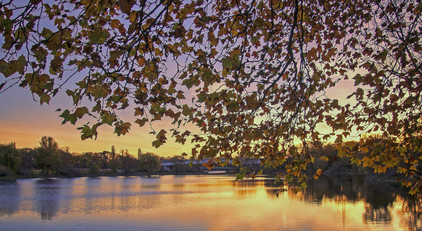 За кулисами