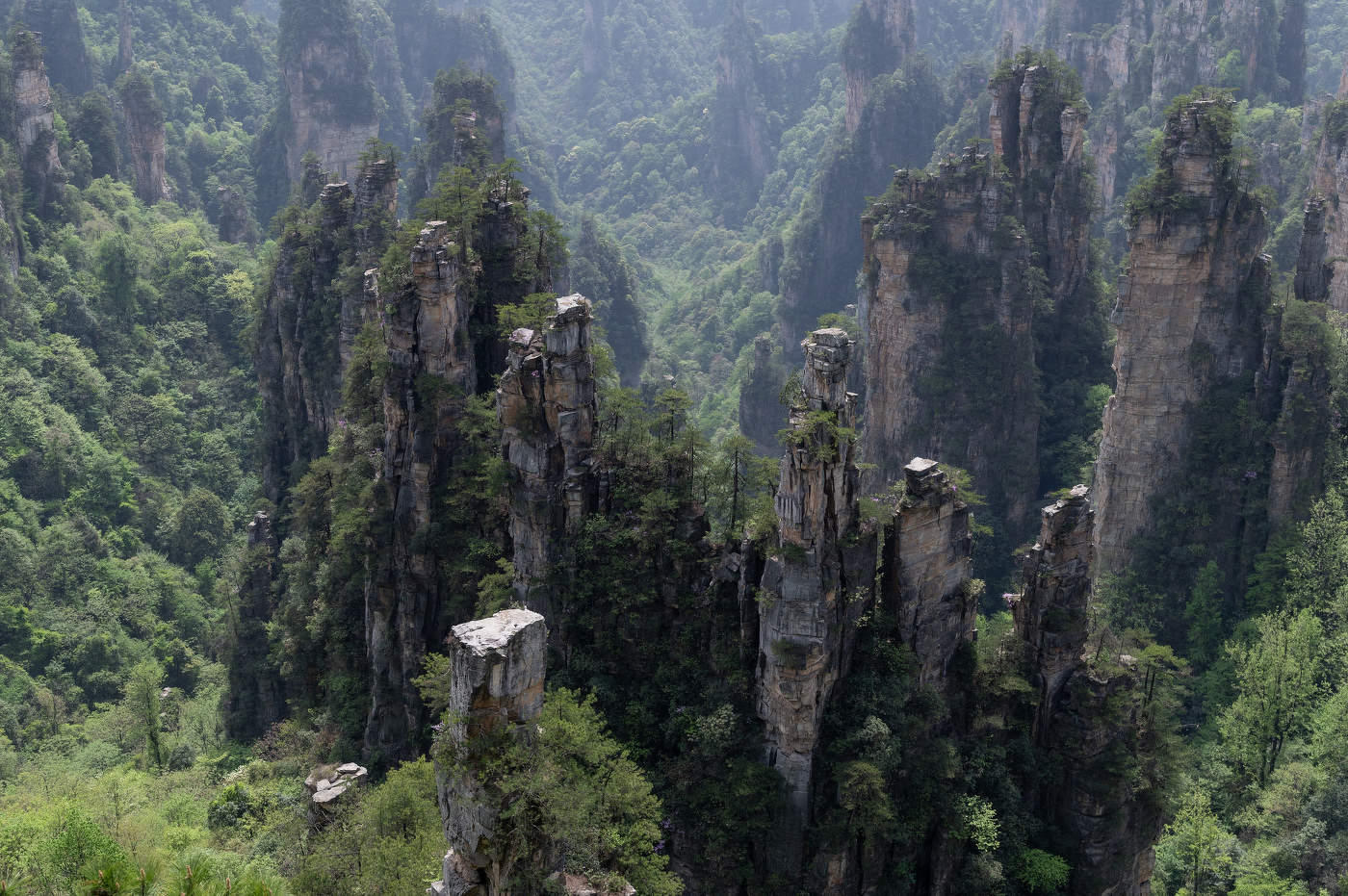 Скалы Аватар