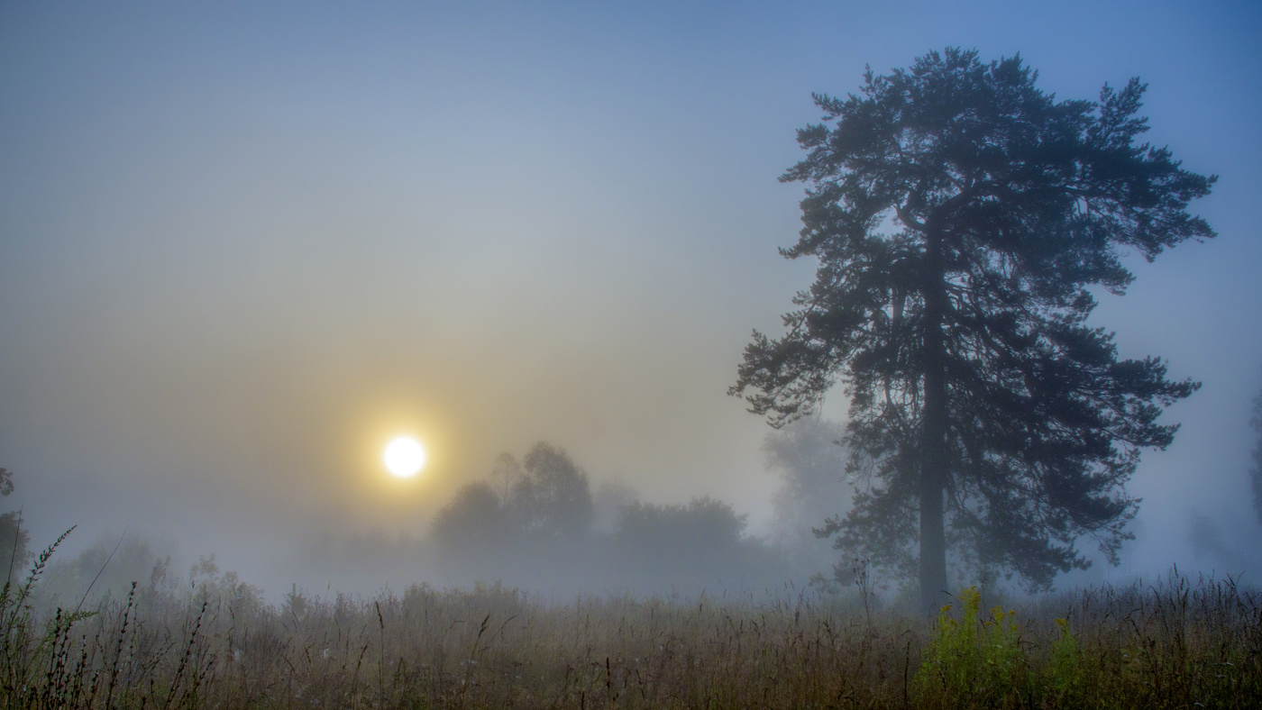 Туман м солнце