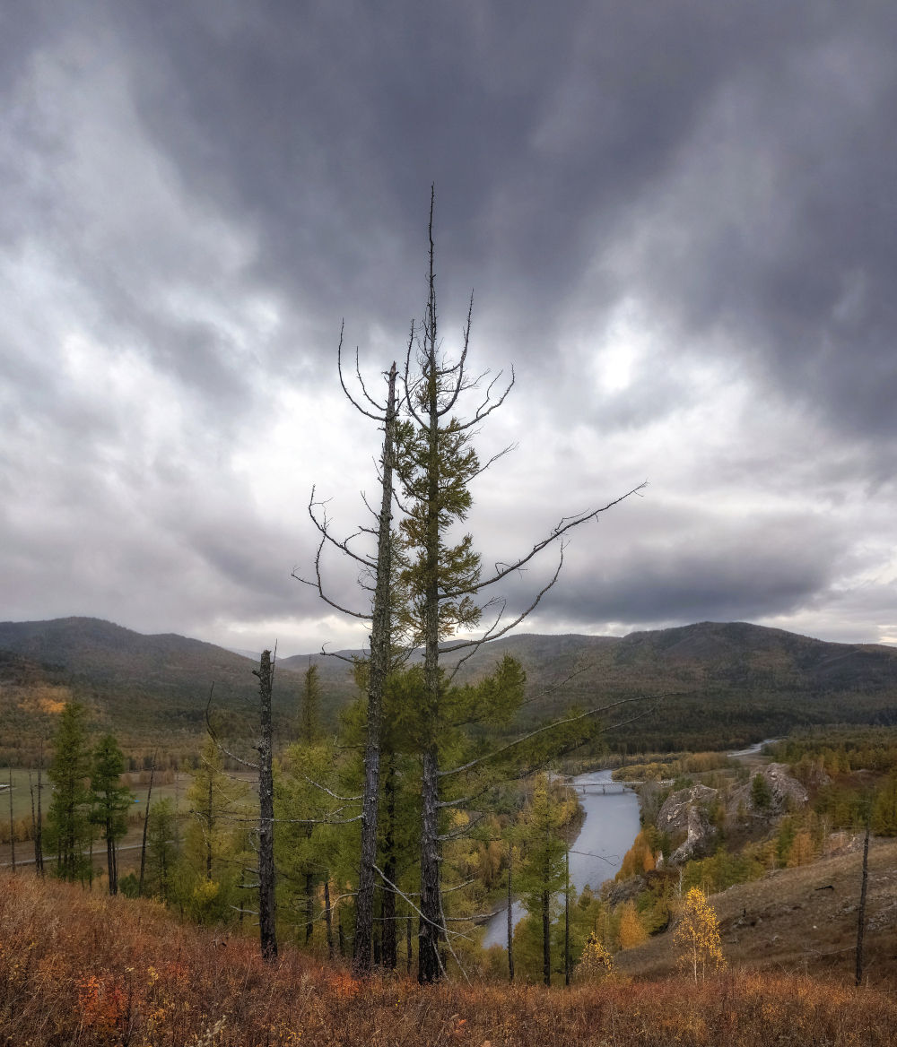 Устремленные ввысь