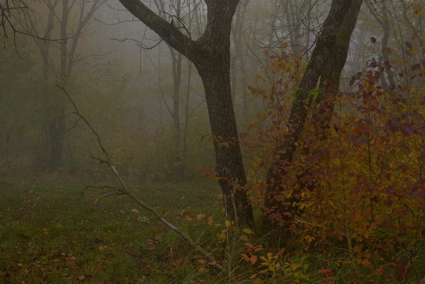 Осеннее утро