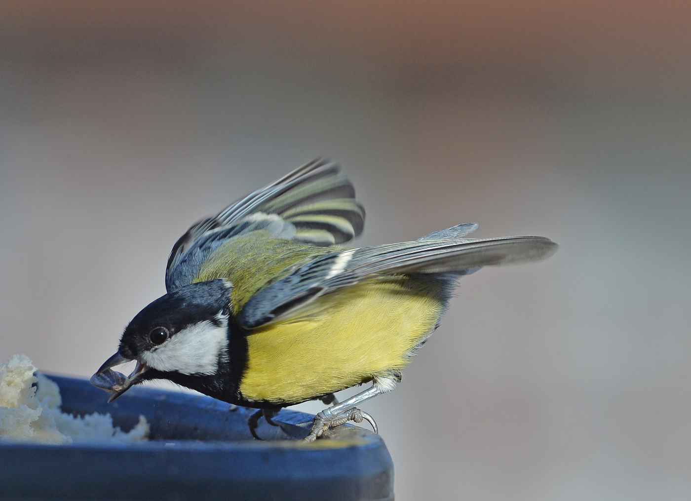А кушать, хочется всегда......