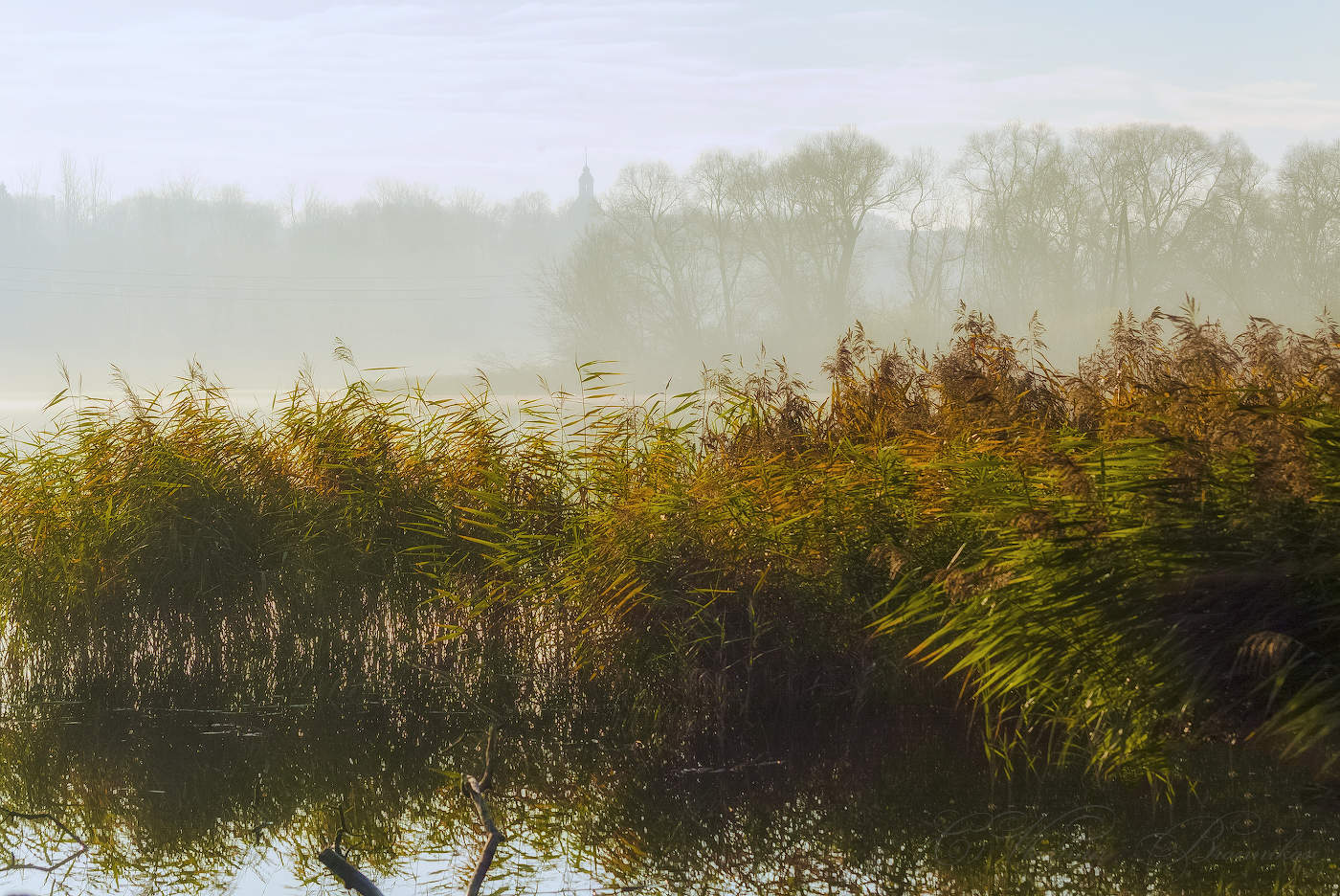 Последние краски осени