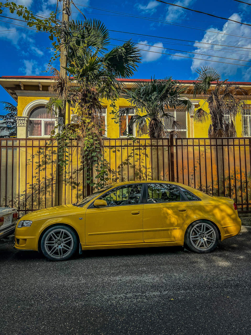 Жёлтый контраст