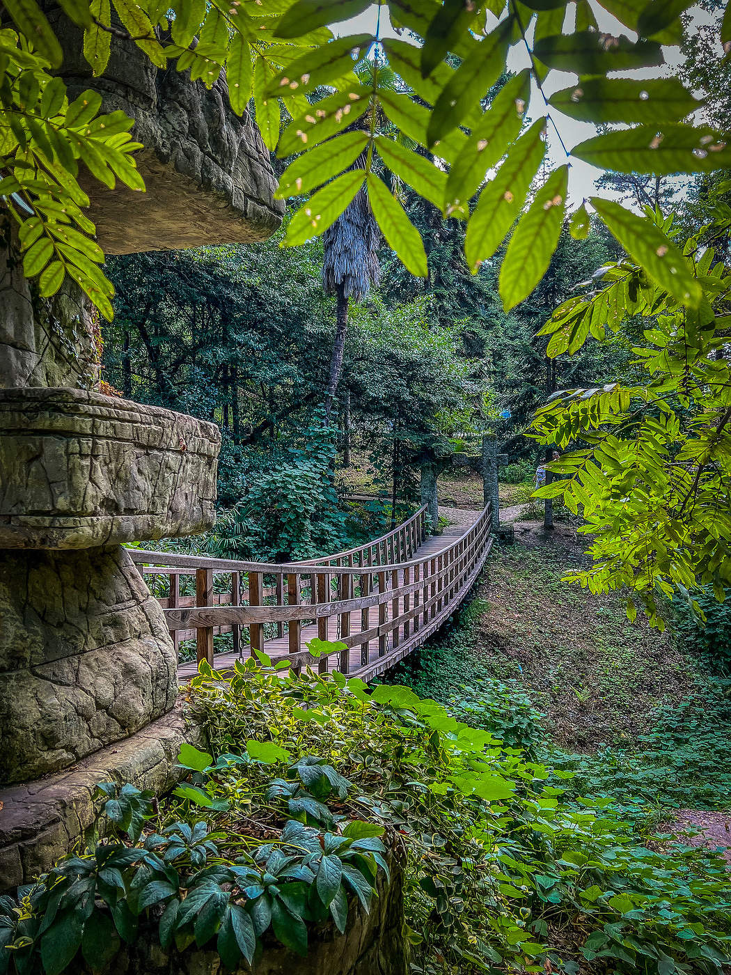 Деревянный мост