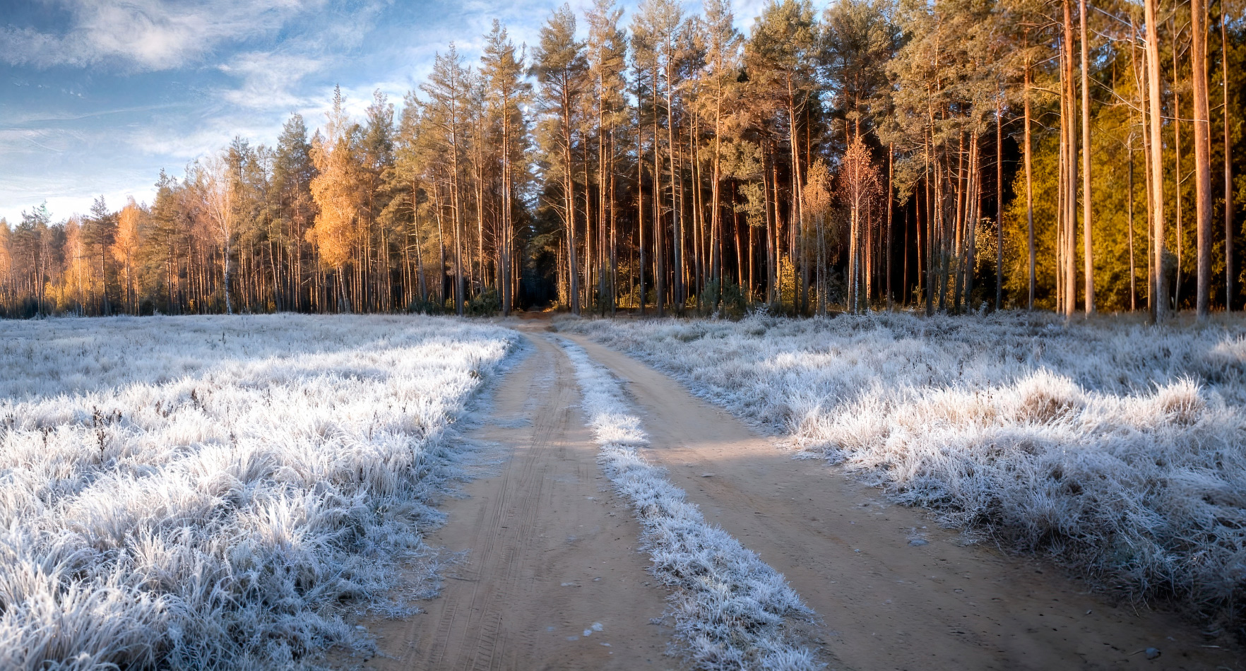 Иней на траве