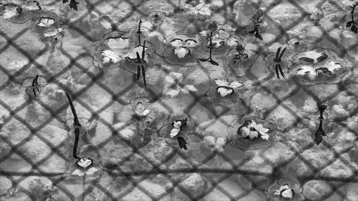 Жизнь вокруг