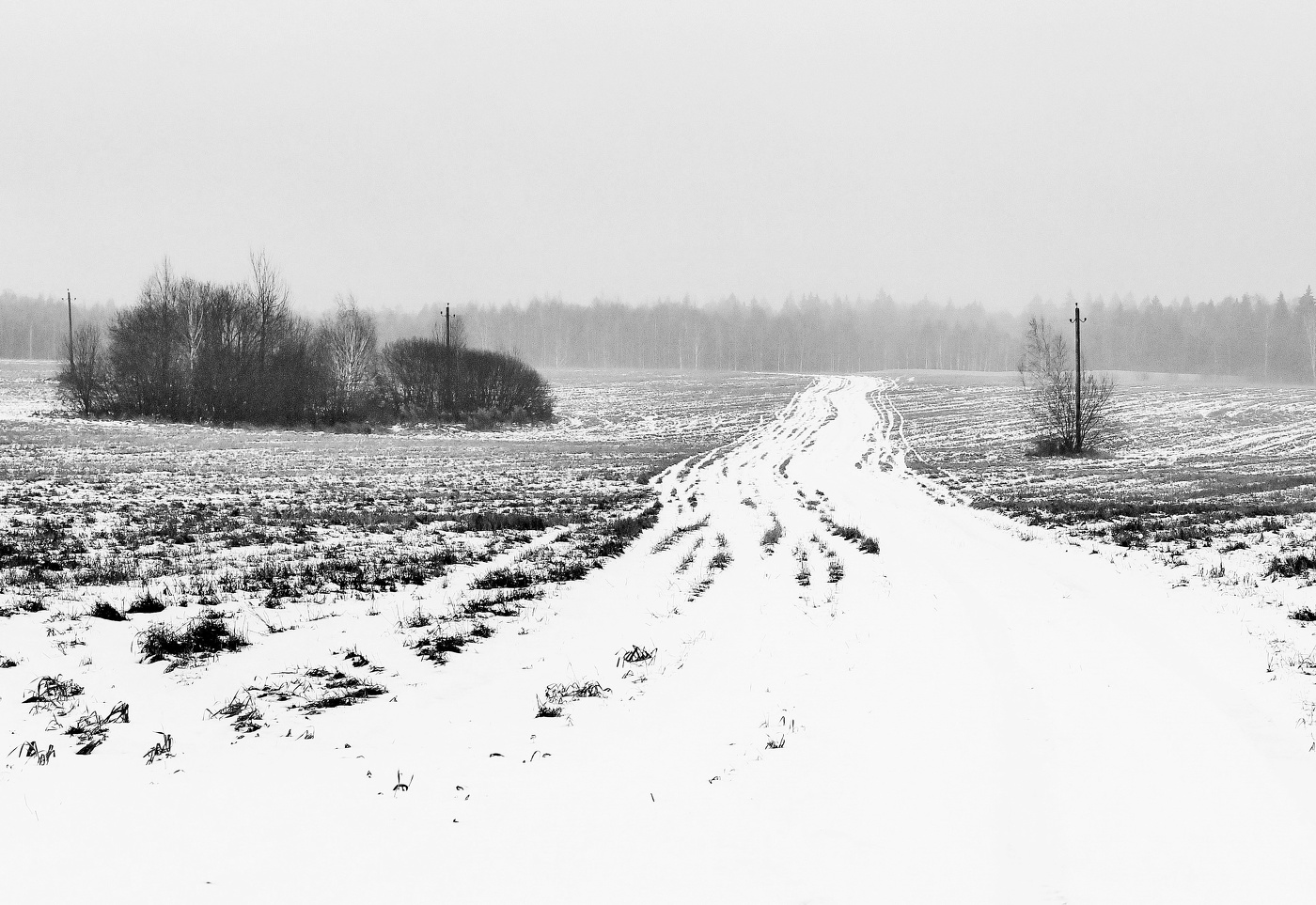 "По дороге зимней, скучной ..."