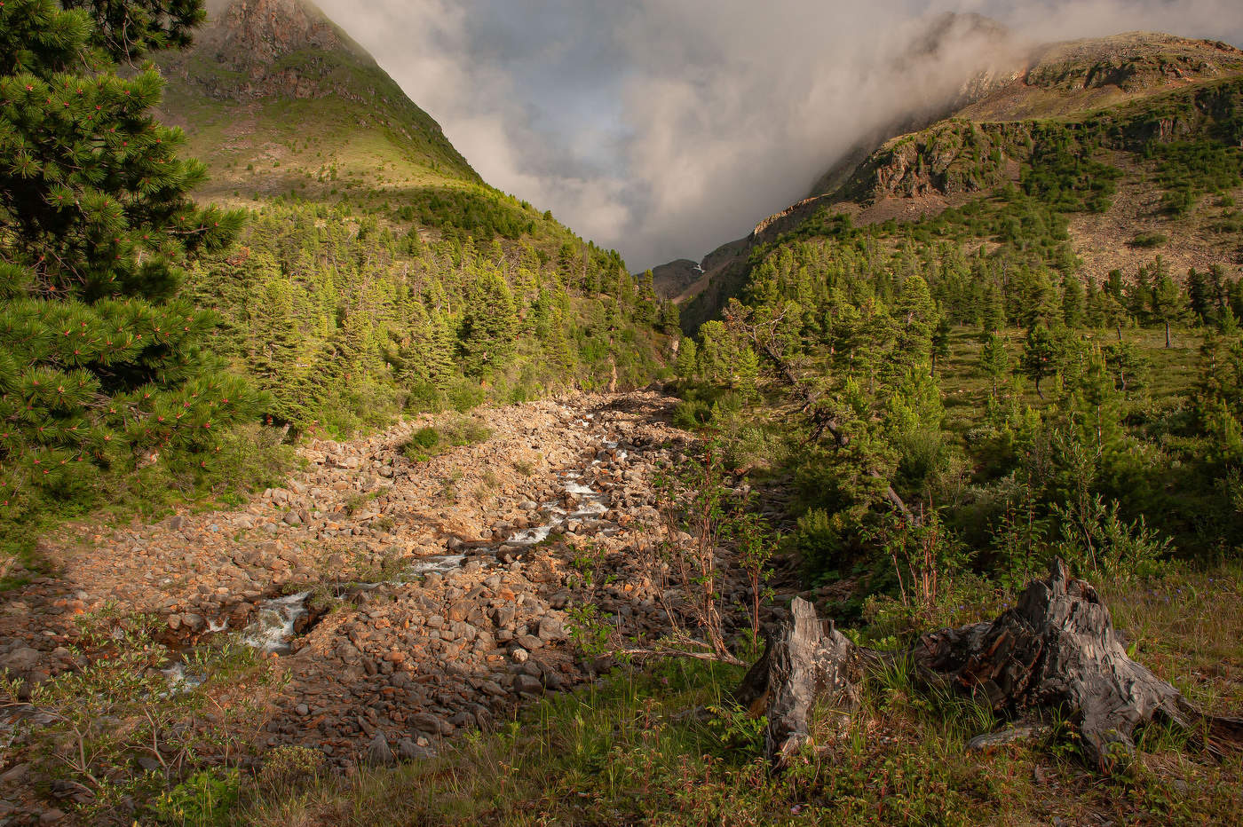 Горный ручей