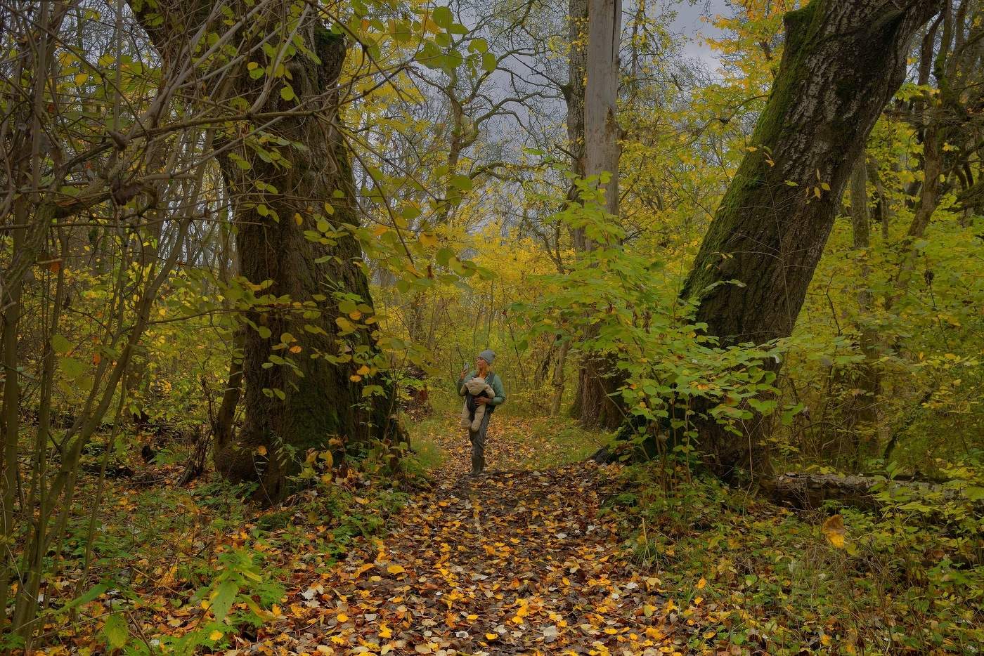 Осеннее утро