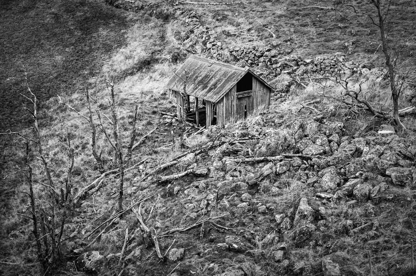 Одиночество