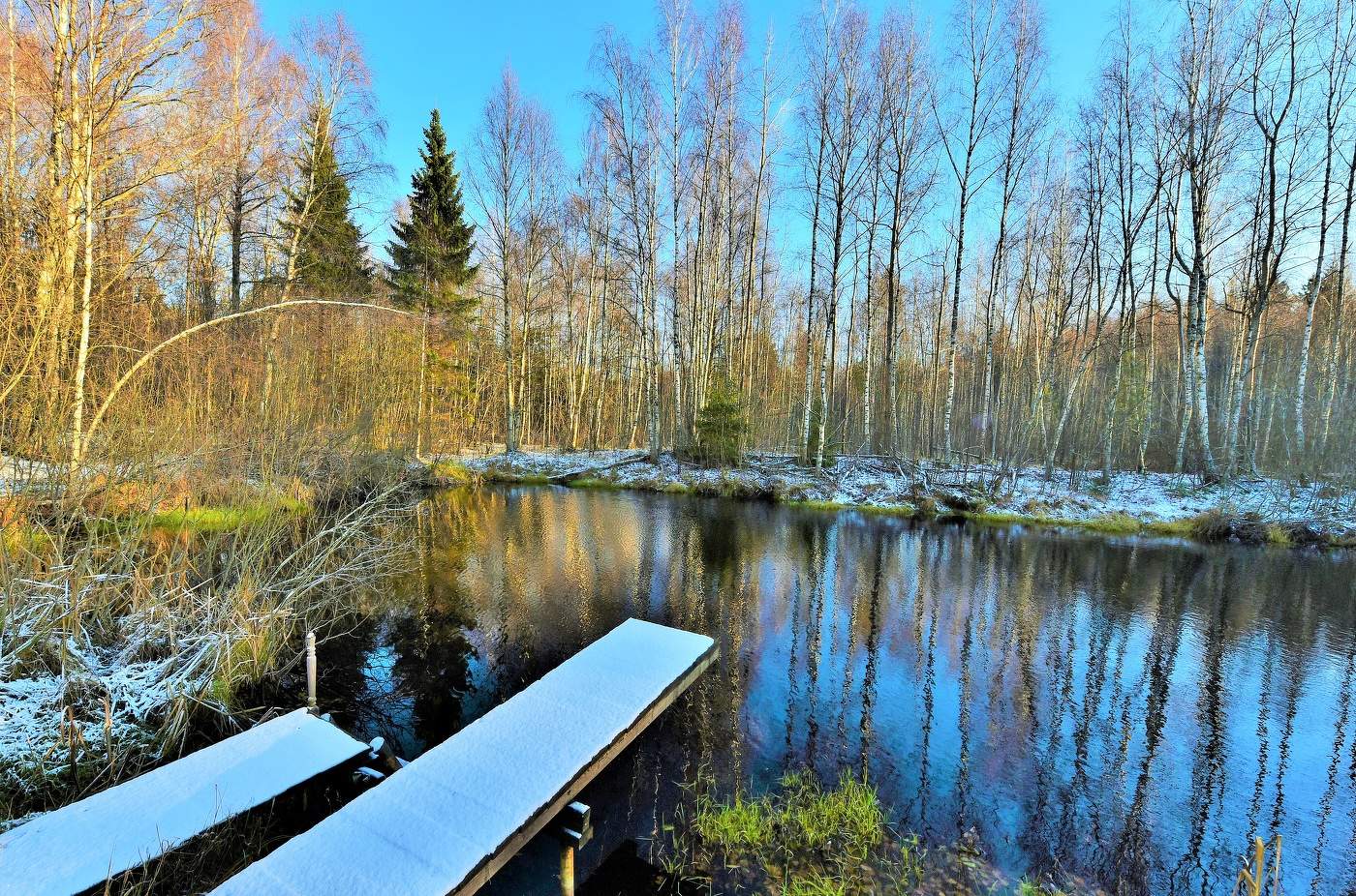 Предзимний ноябрь ...