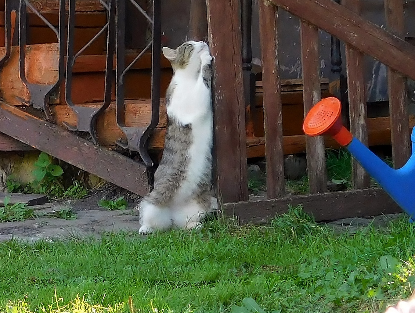 Утро начинается