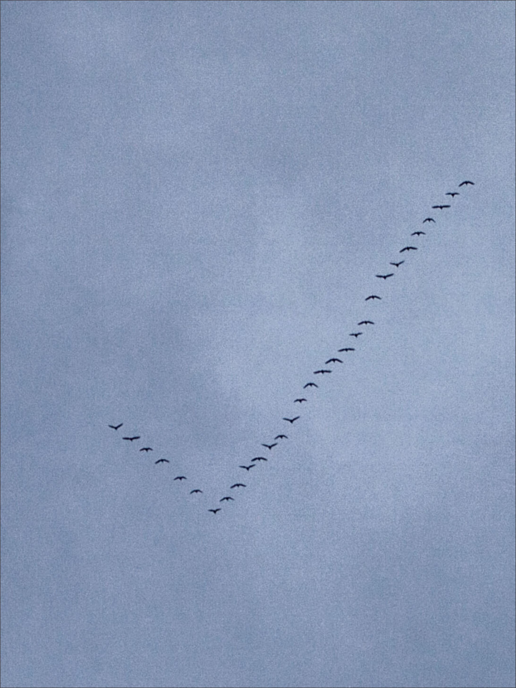 Жизнь вокруг