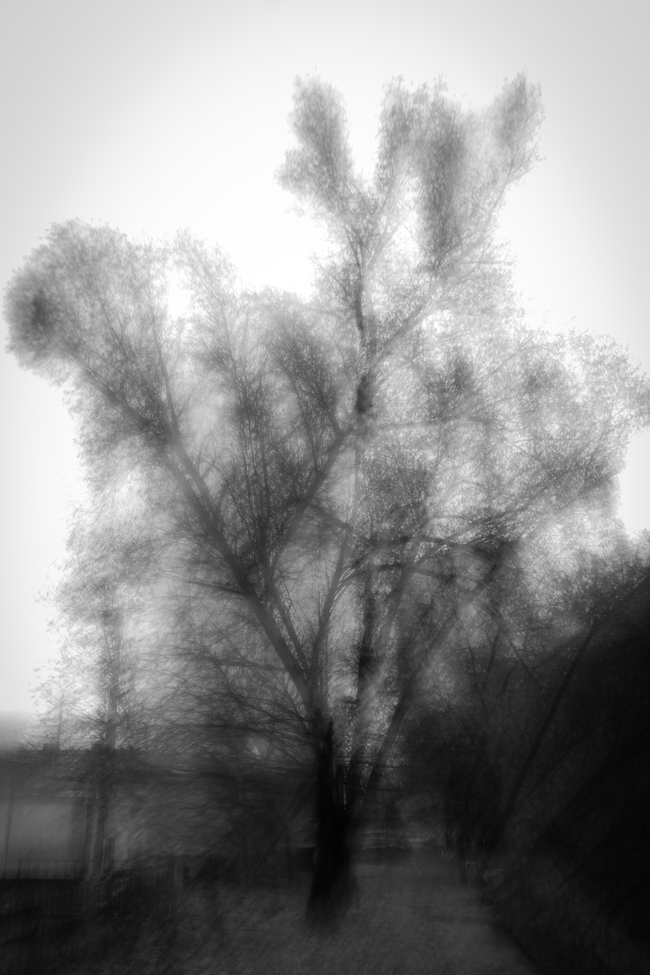 Осень наступила