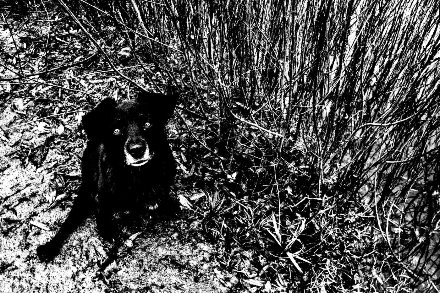 Жизнь вокруг