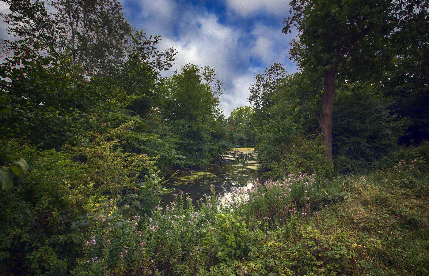 Под Крефельдом