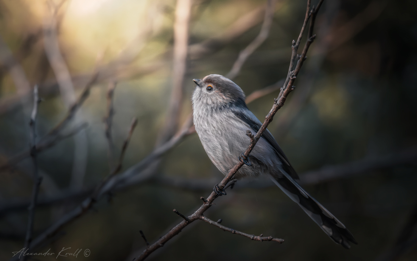 ...и уж зима не за горами