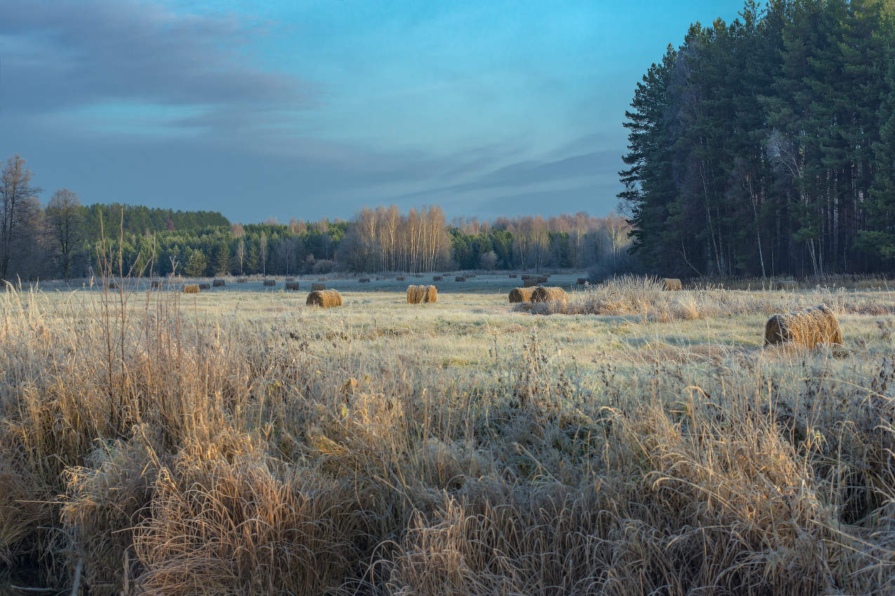 Маленькие радости поздней осени