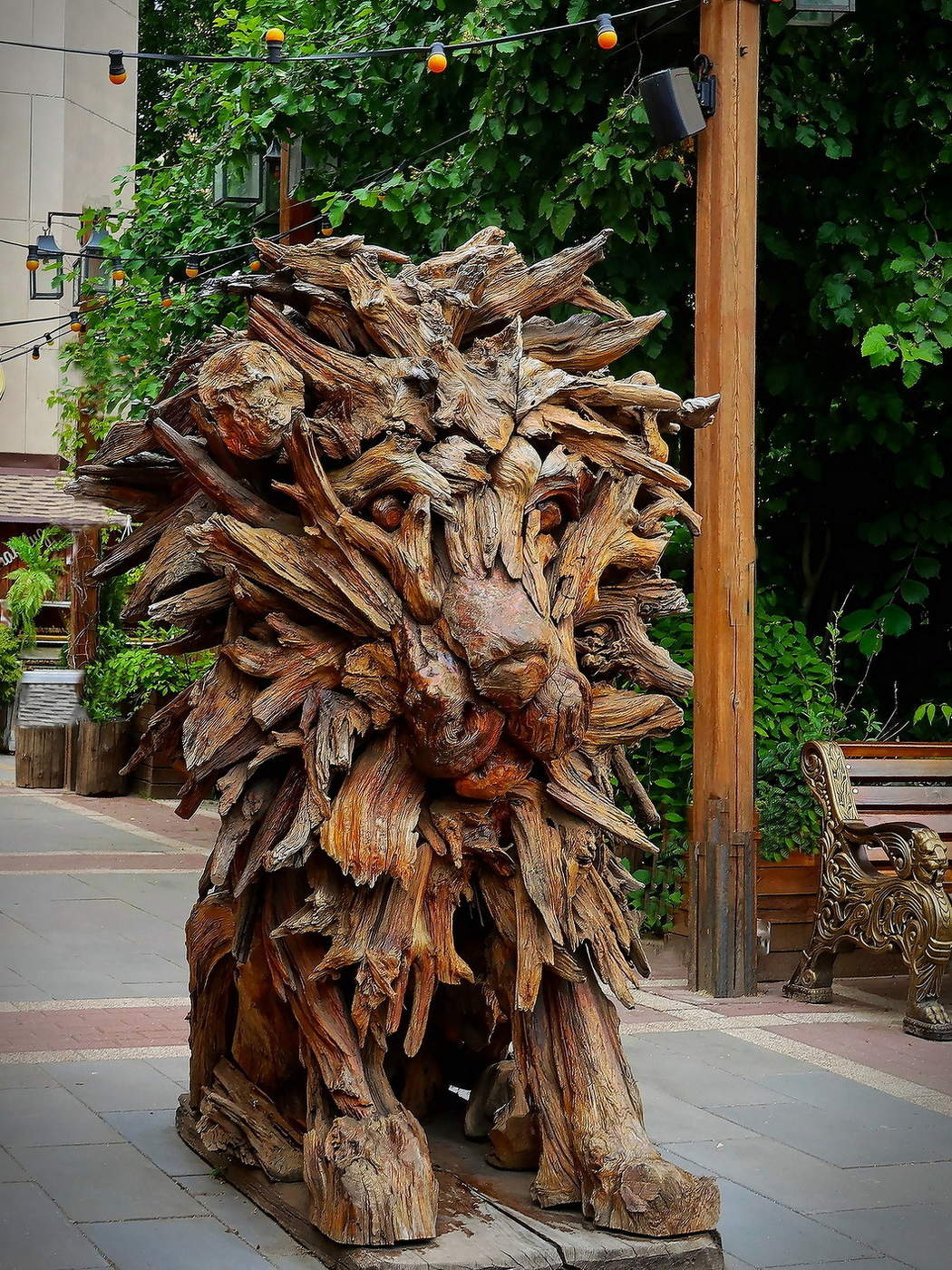 Неожиданно в Калуге