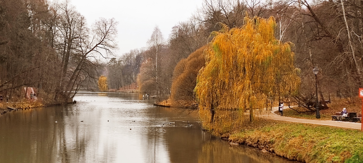 Царицынский парк осенью