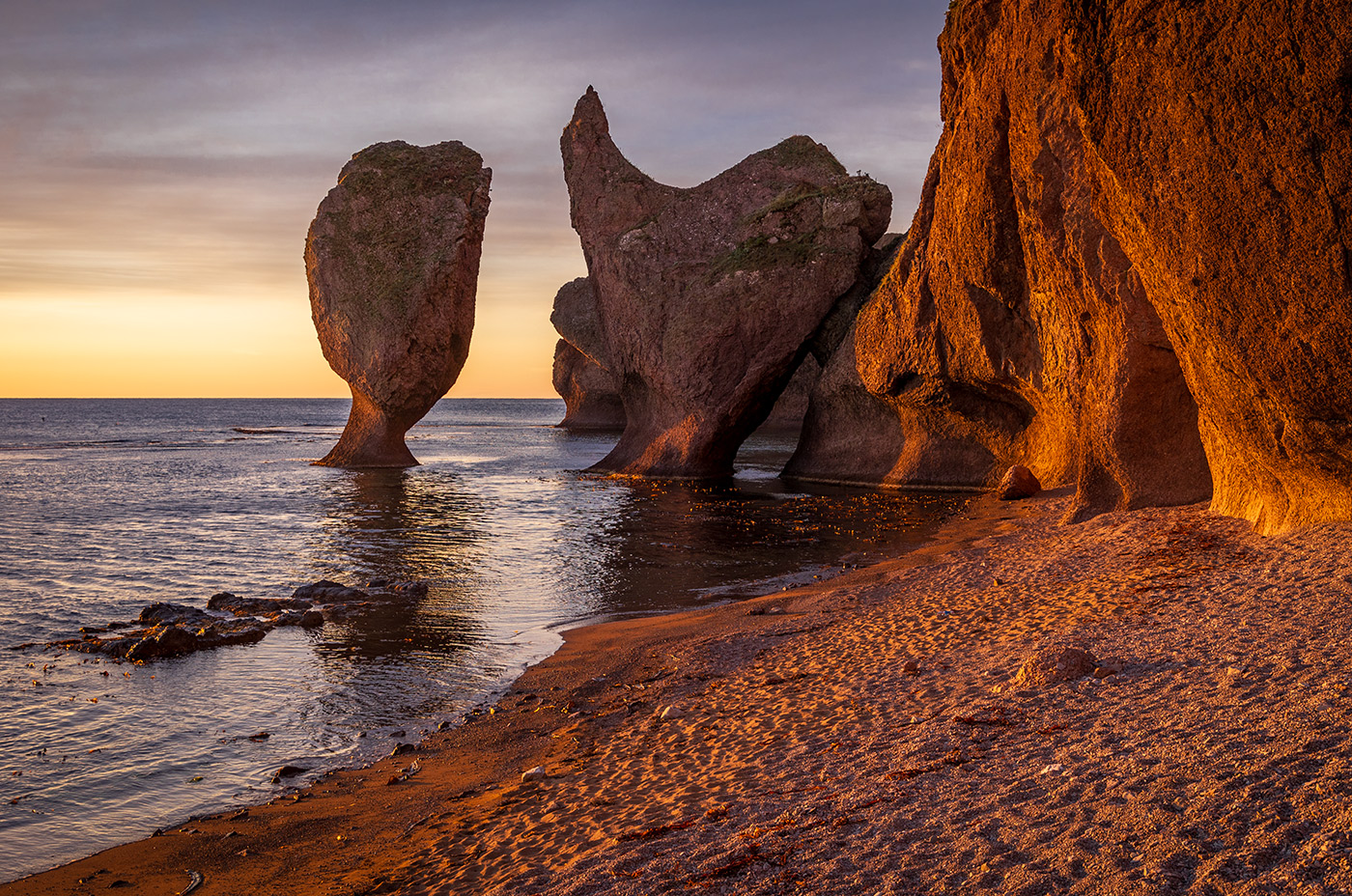 Рюмка , петух и другие