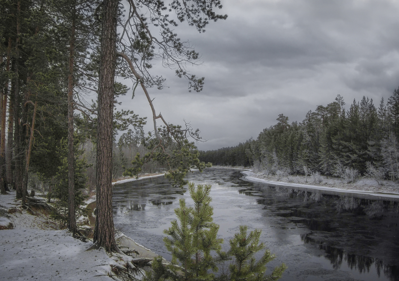 Река в начале ледостава...