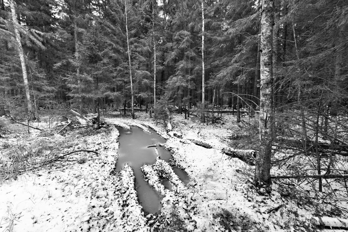 Вот и ноябрь пришел предзимний ...