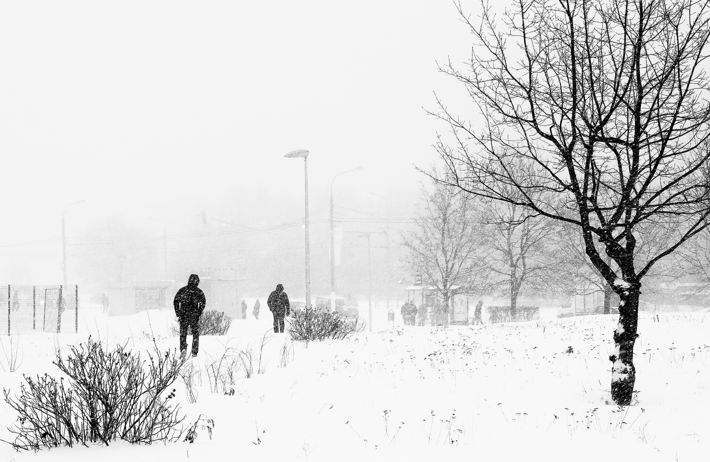 "Метель опять метет, другого не умеет ..."