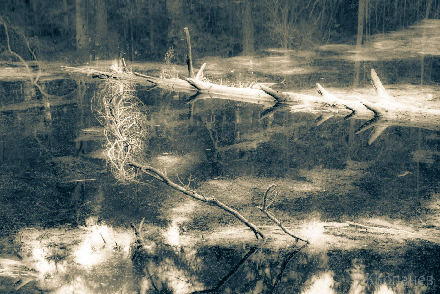 Абстракция озера