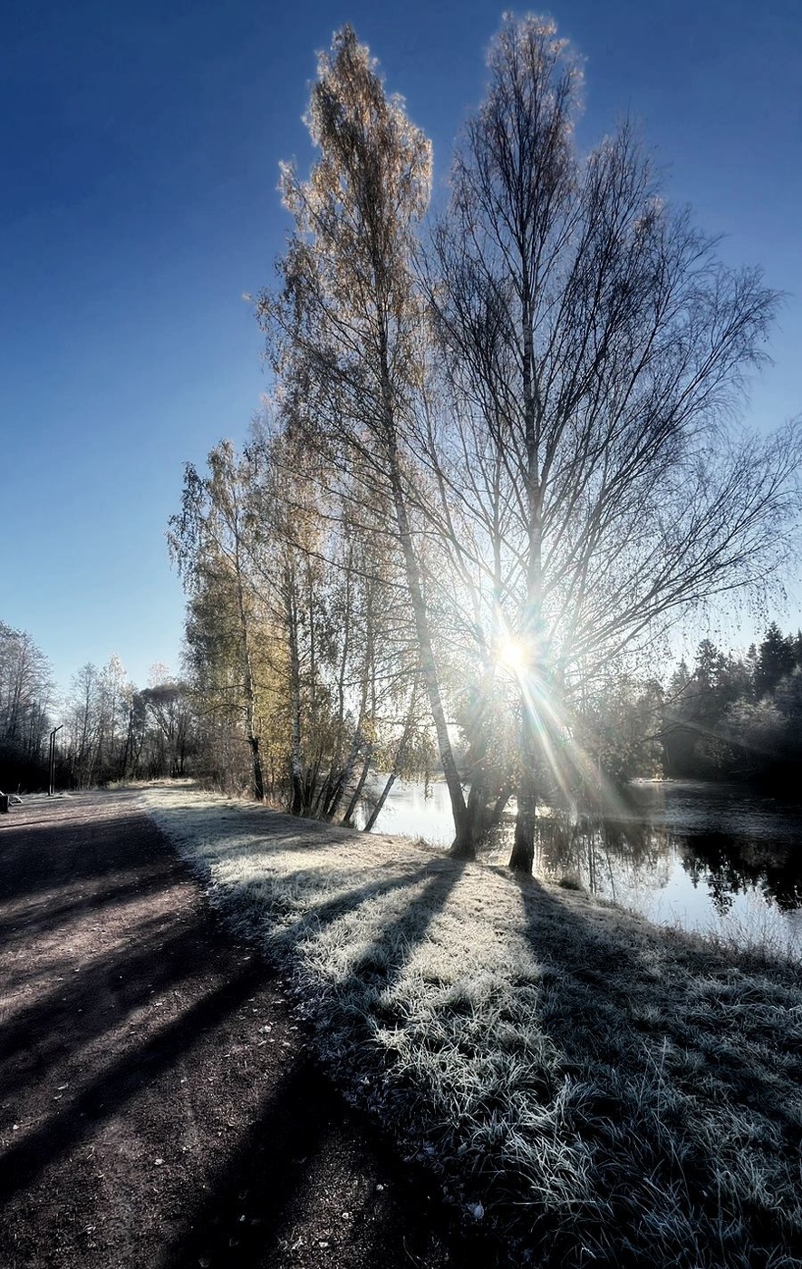 преддверие зимы