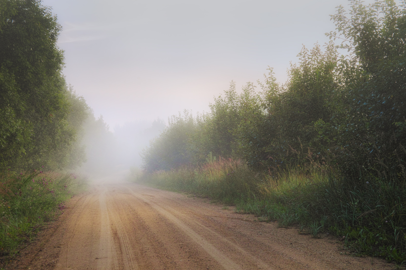 По курсу туман