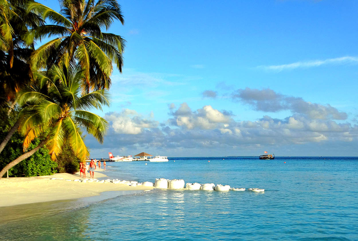 Высадились на остров