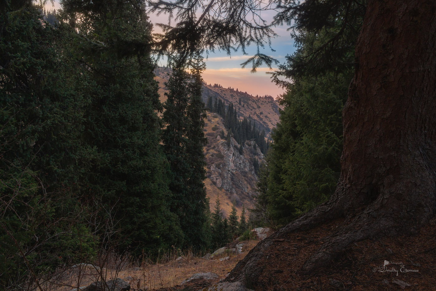 Всё выше и выше, горными тропами...