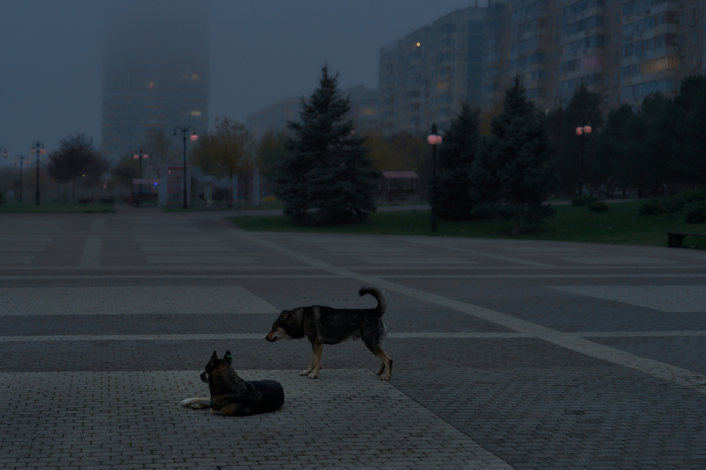 просыпается город и его обитатели