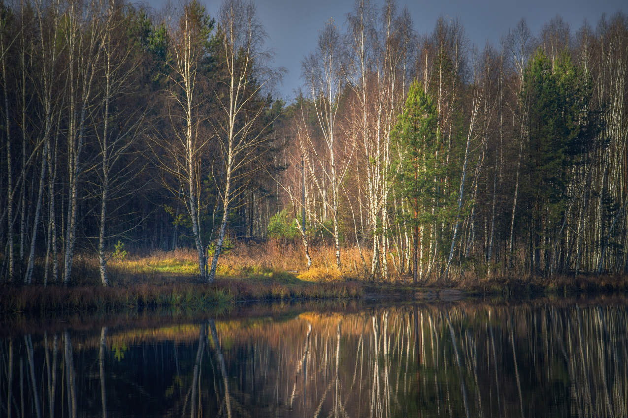 Осенний этюд.