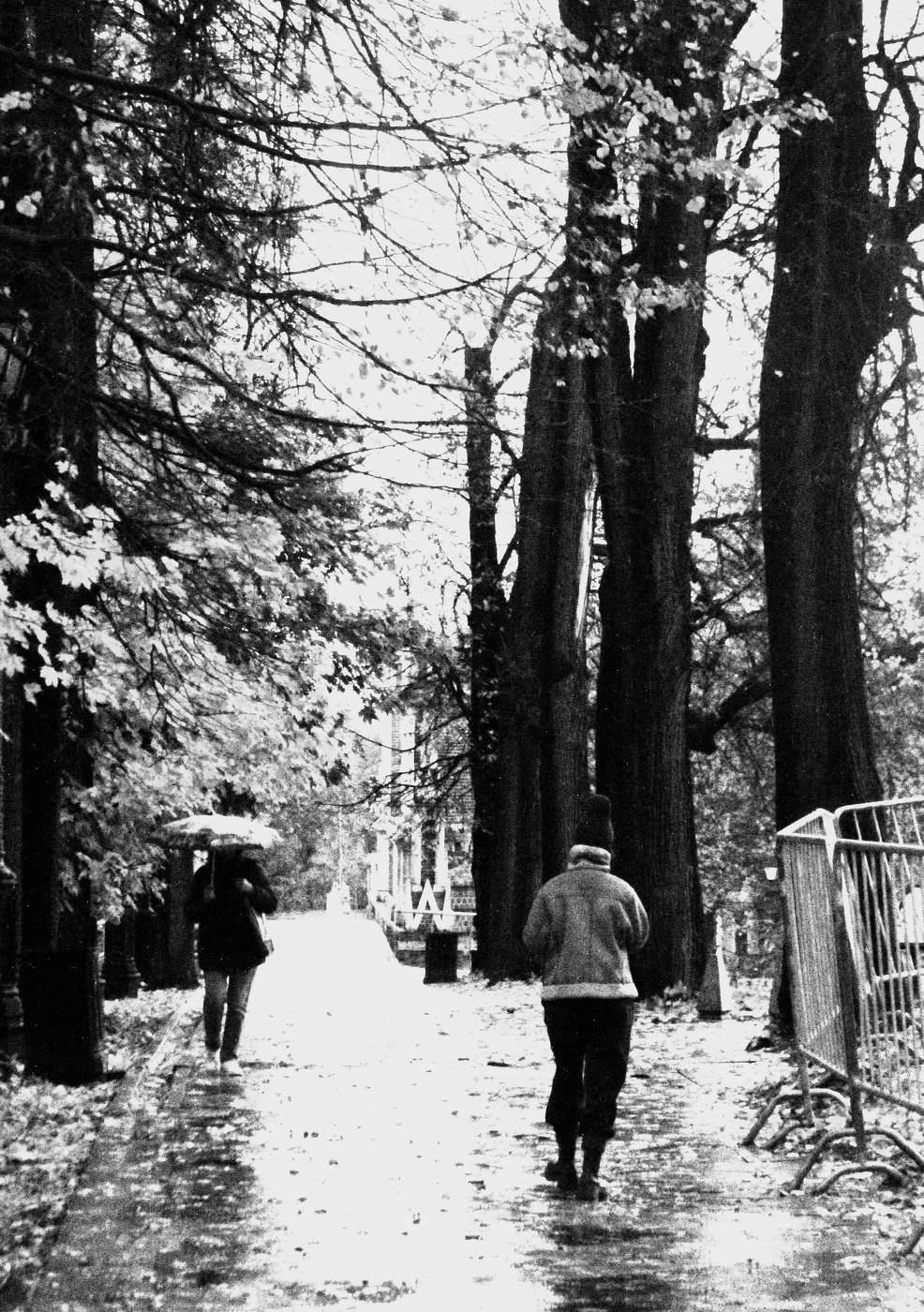 Дождливый денек