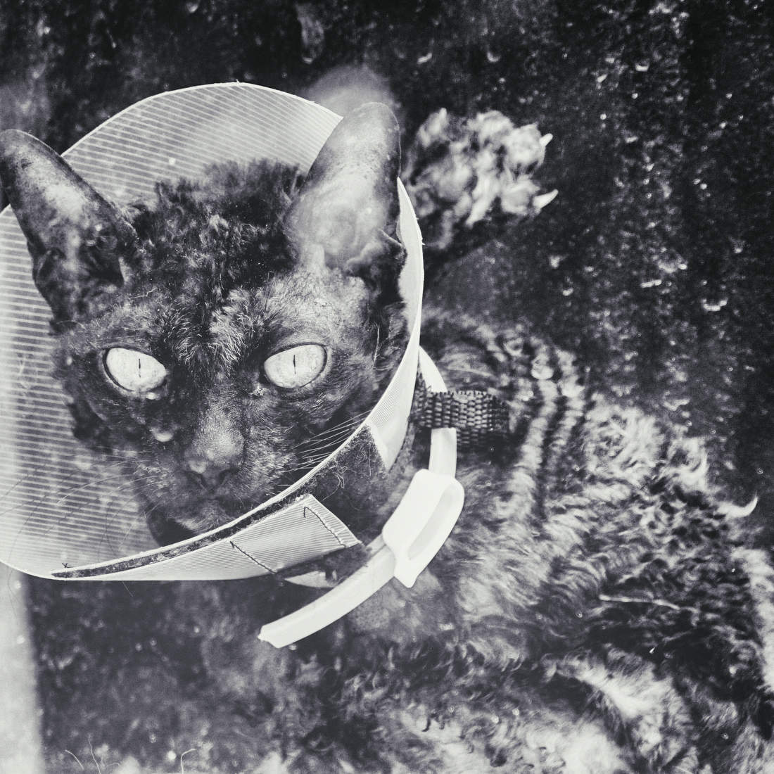 Эти глаза напротив