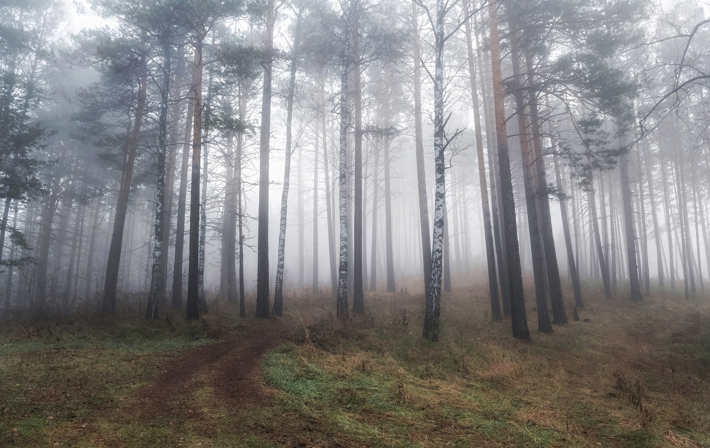 Осенний туман