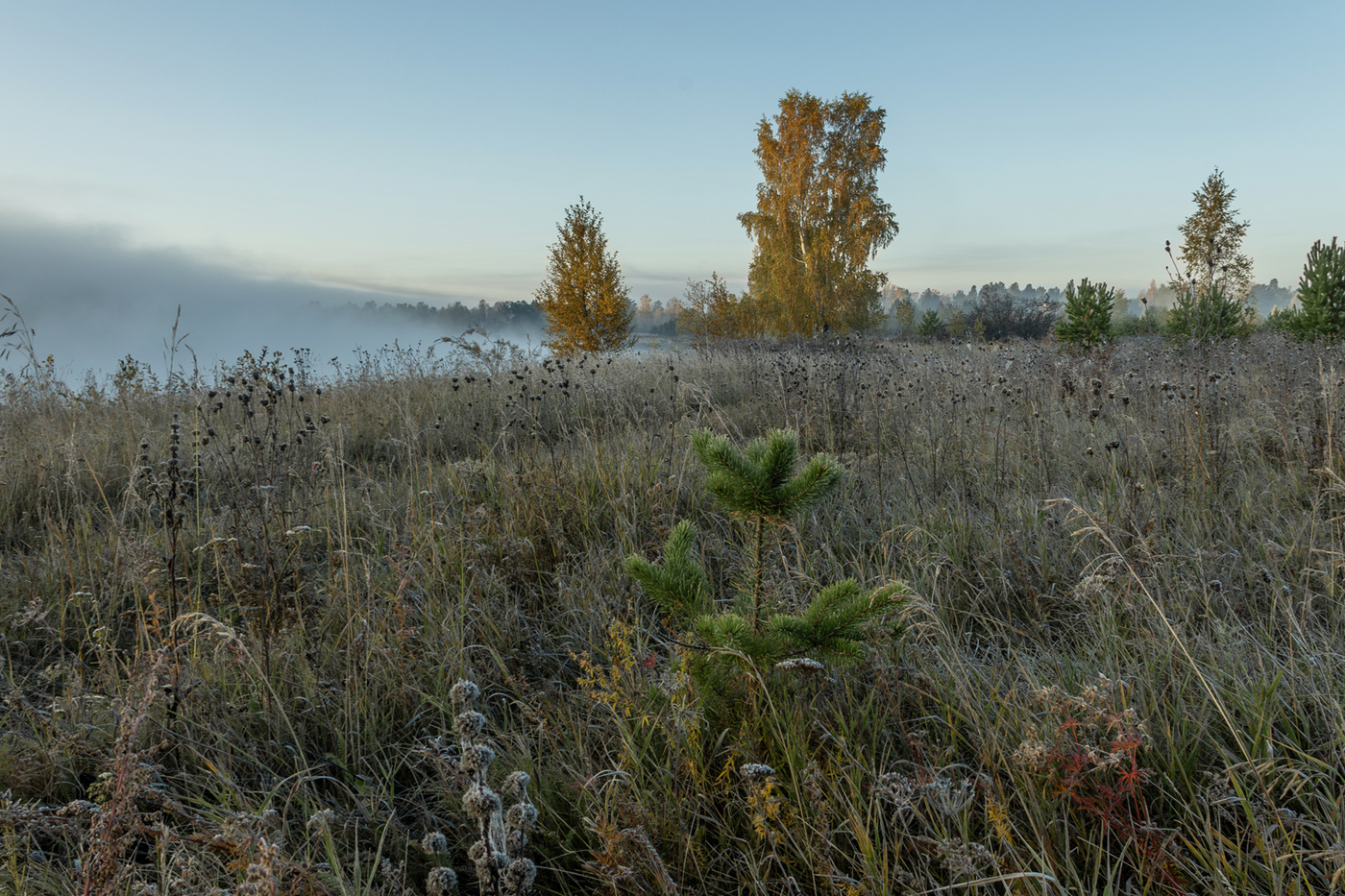 Про прошедшую осень