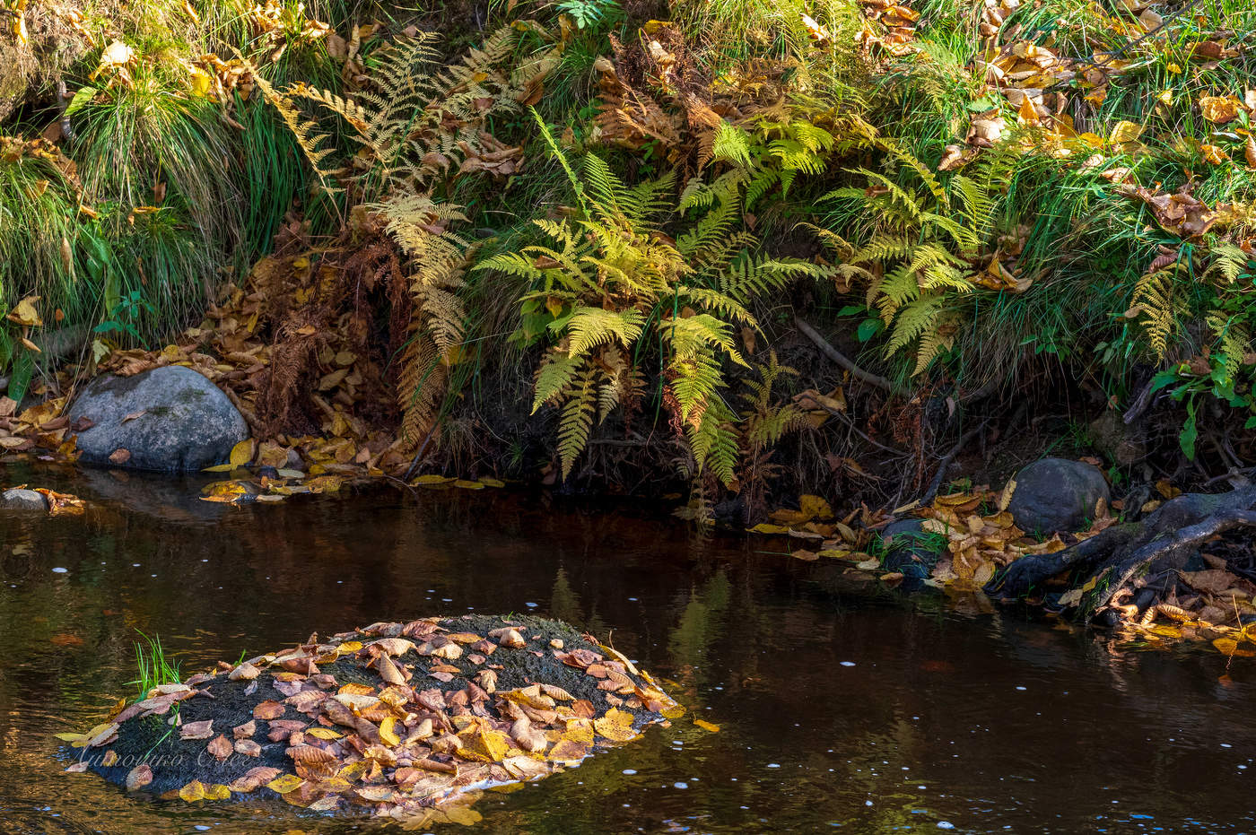 Ораниенбаум.