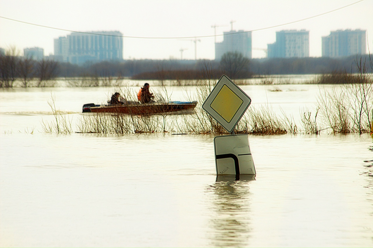 Главная дорога