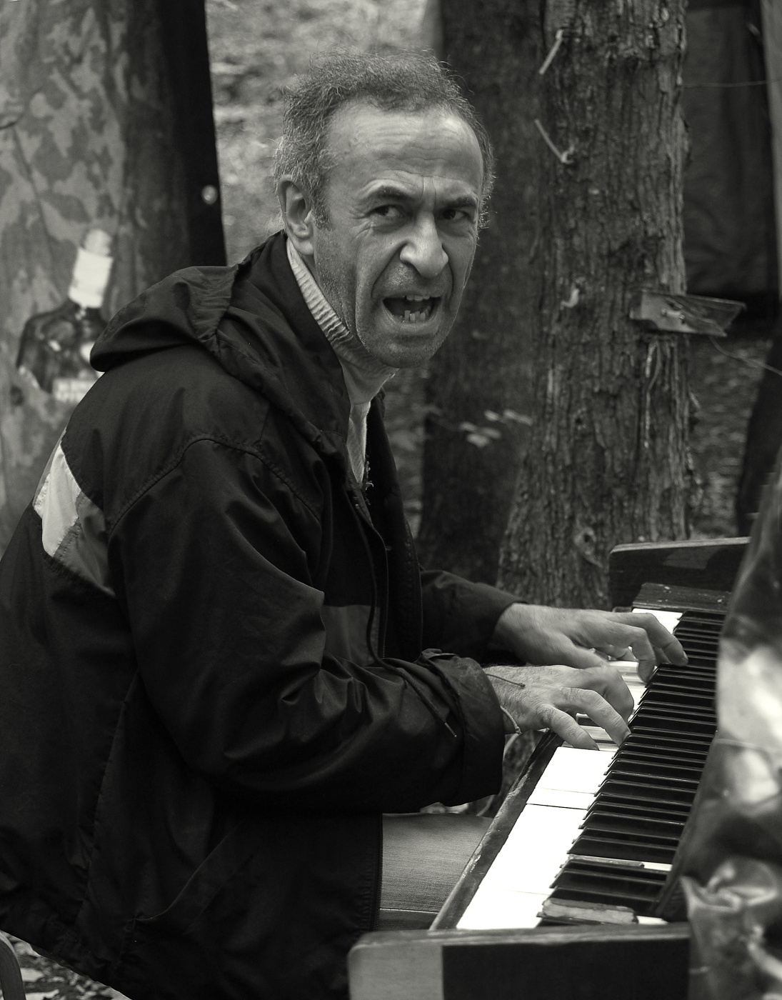 Рояль в кустах