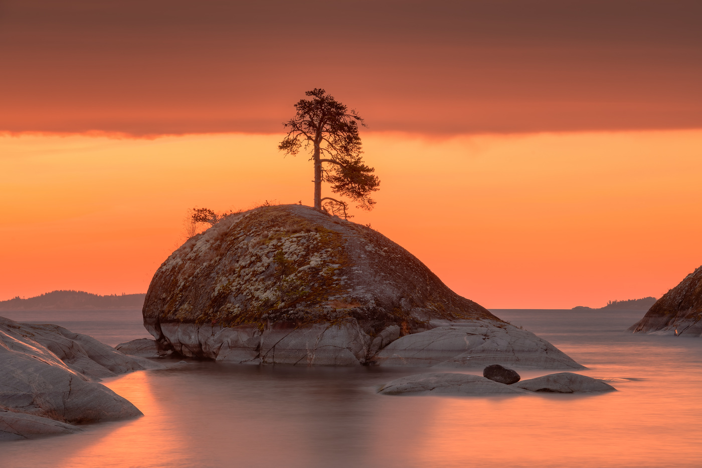 Кит в апельсинах II