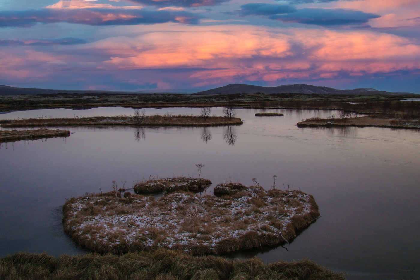 Таежное утро