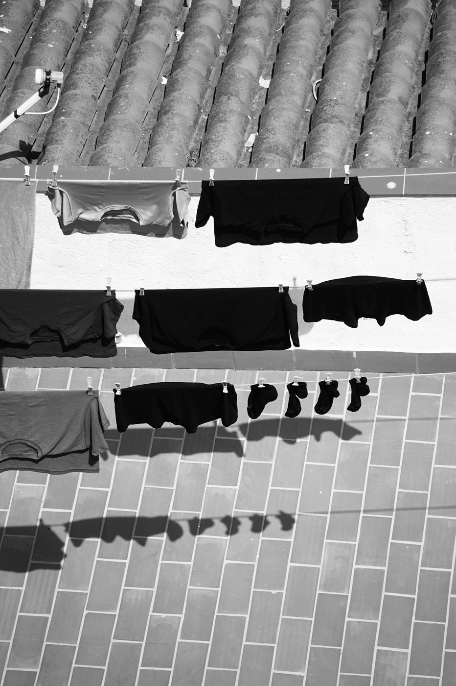 На лугу пасутся ко...