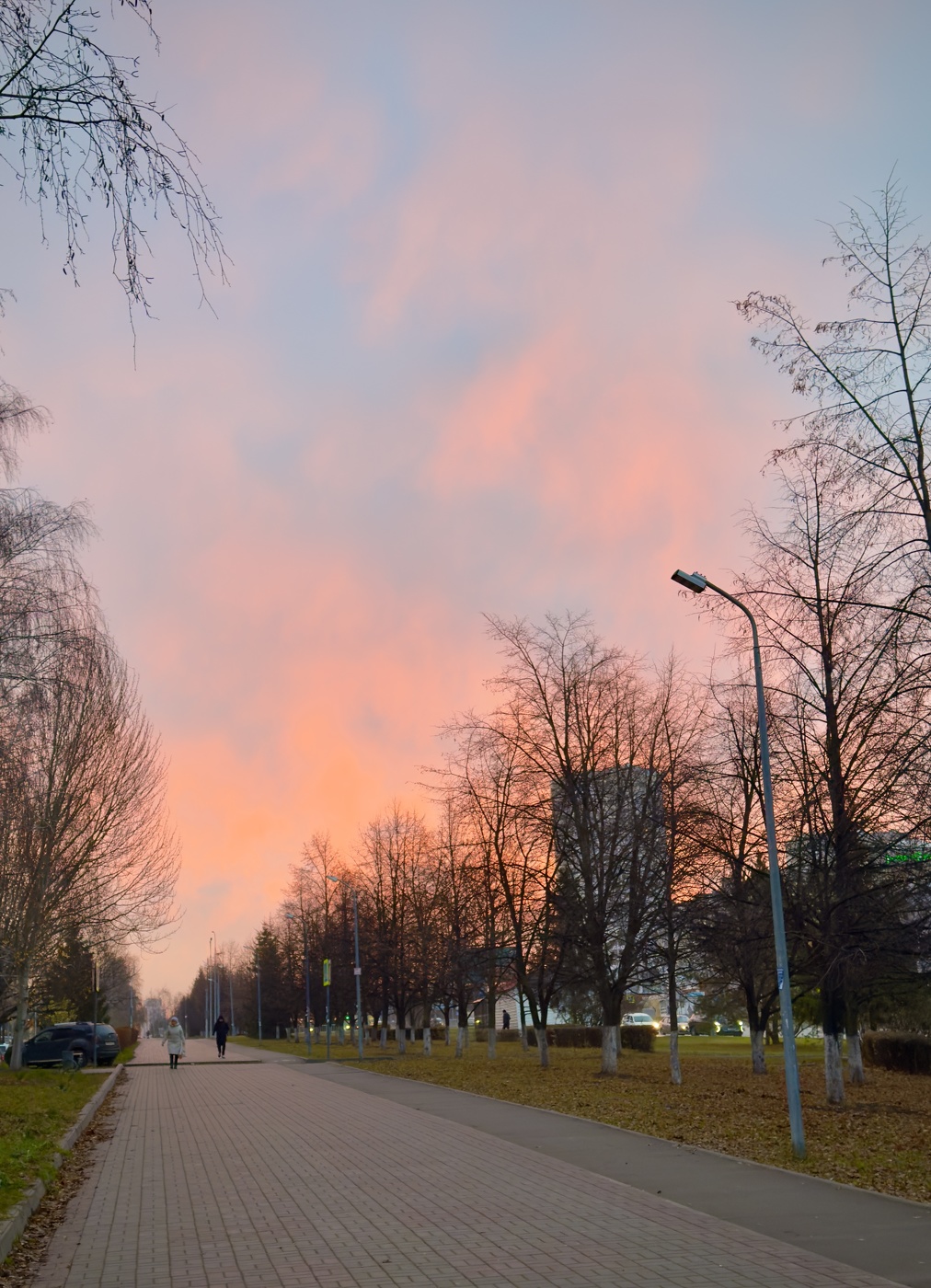 Цветное утро